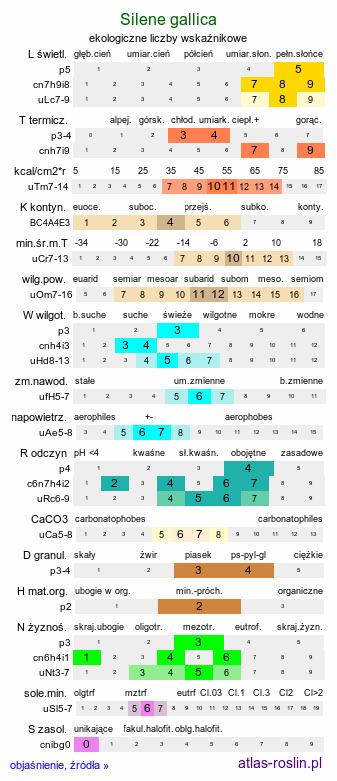 ekologiczne liczby wskaźnikowe Silene gallica (lepnica francuska)