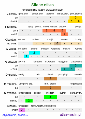 ekologiczne liczby wskaźnikowe Silene otites (lepnica wąskopłatkowa)