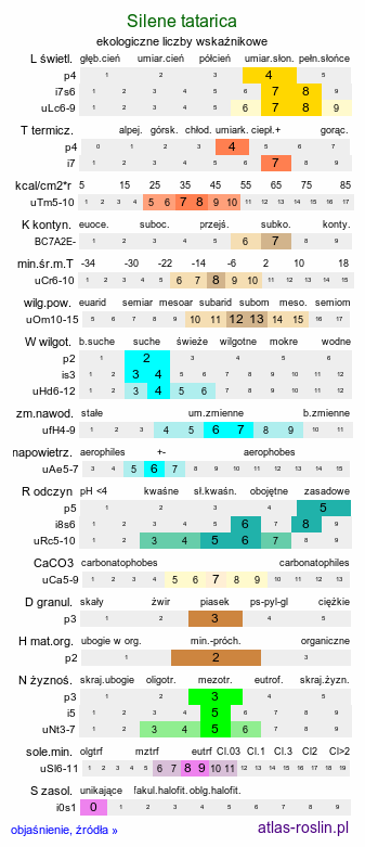 ekologiczne liczby wskaźnikowe Silene tatarica (lepnica tatarska)