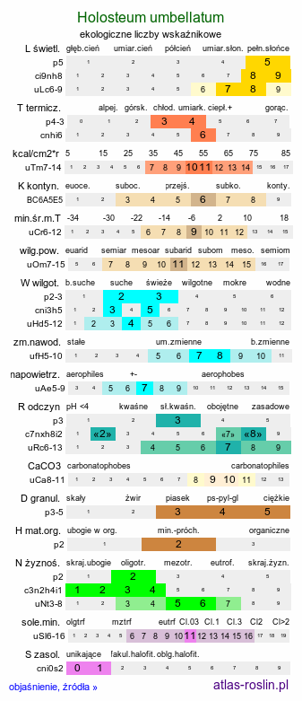 ekologiczne liczby wskaźnikowe Holosteum umbellatum (mokrzycznik baldaszkowy)