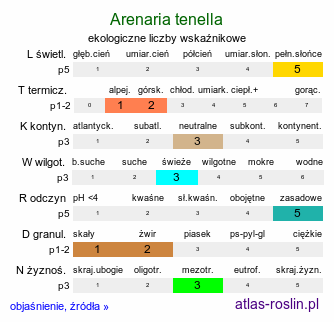 ekologiczne liczby wskaźnikowe Arenaria tenella (piaskowiec orzęsiony)