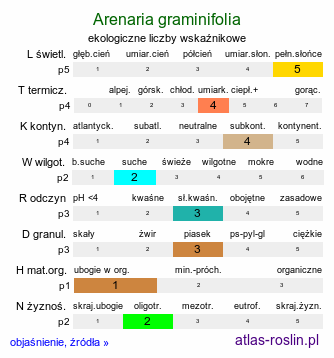 ekologiczne liczby wskaźnikowe Arenaria graminifolia (piaskowiec trawiasty)