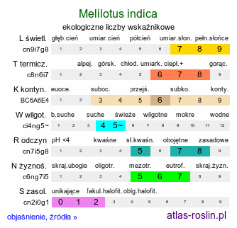 ekologiczne liczby wskaźnikowe Melilotus indica (nostrzyk indyjski)