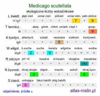 ekologiczne liczby wskaźnikowe Medicago scutellata (lucerna gwieździsta)