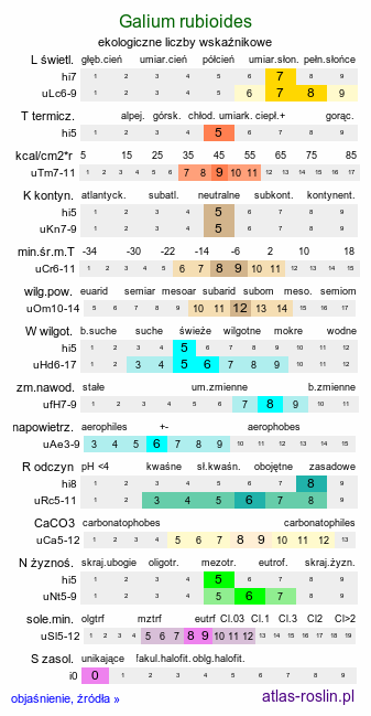 ekologiczne liczby wskaźnikowe Galium rubioides (przytulia szerokolistna)