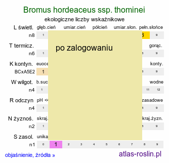 ekologiczne liczby wskaźnikowe Bromus hordeaceus ssp. thominei