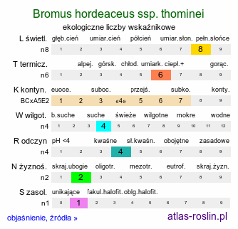 ekologiczne liczby wskaźnikowe Bromus hordeaceus ssp. thominei