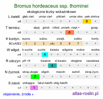 ekologiczne liczby wskaźnikowe Bromus hordeaceus ssp. thominei