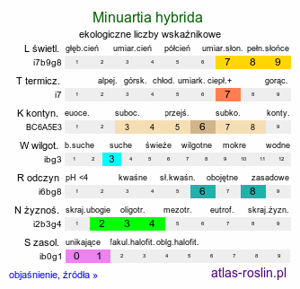 ekologiczne liczby wskaźnikowe Minuartia hybrida (mokrzyca mieszańcowa)