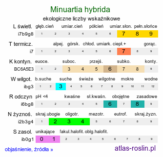 ekologiczne liczby wskaźnikowe Minuartia hybrida  (mokrzyca mieszańcowa)