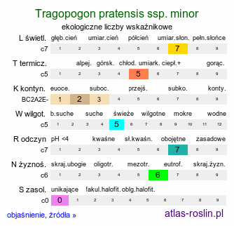 ekologiczne liczby wskaźnikowe Tragopogon pratensis ssp. minor (kozibród łąkowy mniejszy)