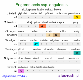 ekologiczne liczby wskaźnikowe Erigeron acris ssp. angulosus (przymiotno ostre chude)