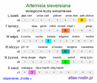 ekologiczne liczby wskaźnikowe Artemisia sieversiana (bylica koreańska)