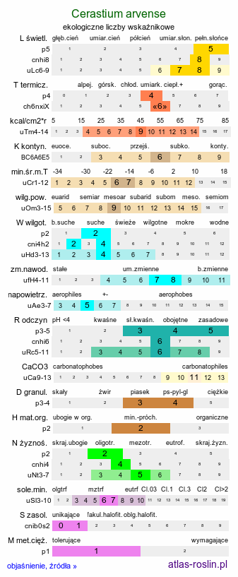 ekologiczne liczby wskaźnikowe Cerastium arvense (rogownica polna)