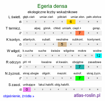 ekologiczne liczby wskaźnikowe Egeria densa (moczarnica argentyńska)