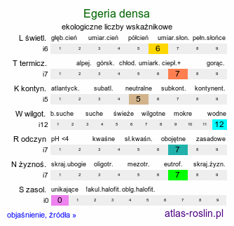 ekologiczne liczby wskaźnikowe Egeria densa (moczarnica argentyńska)