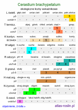 ekologiczne liczby wskaźnikowe Cerastium brachypetalum (rogownica drobnokwiatowa)