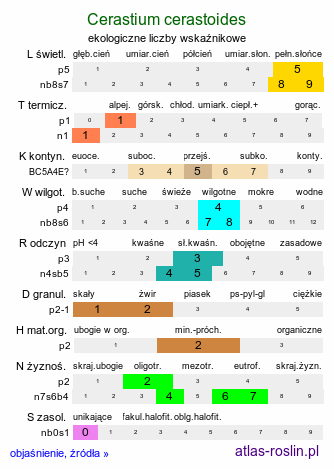 ekologiczne liczby wskaźnikowe Cerastium cerastoides (rogownica trójszyjkowa)