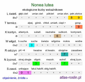 ekologiczne liczby wskaźnikowe Nonea lutea (zapłonka żółta)
