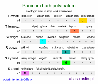 ekologiczne liczby wskaźnikowe Panicum barbipulvinatum (proso nadrzeczne)