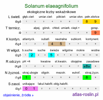 ekologiczne liczby wskaźnikowe Solanum elaeagnifolium