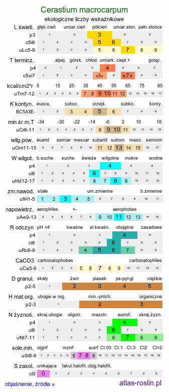 ekologiczne liczby wskaźnikowe Cerastium macrocarpum (rogownica wielkoowockowa)