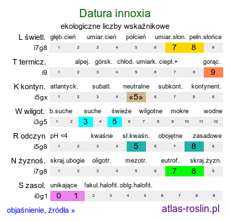 ekologiczne liczby wskaźnikowe Datura innoxia