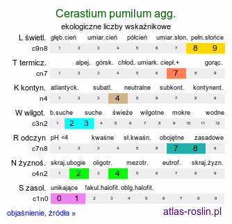 ekologiczne liczby wskaźnikowe Cerastium pumilum agg. (rogownica drobna agg.)