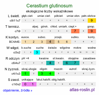 ekologiczne liczby wskaźnikowe Cerastium glutinosum (rogownica murawowa)