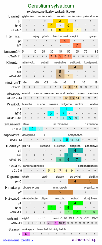 ekologiczne liczby wskaźnikowe Cerastium sylvaticum (rogownica leśna)