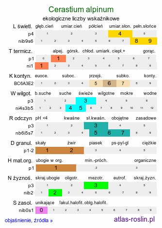 ekologiczne liczby wskaźnikowe Cerastium alpinum (rogownica alpejska)
