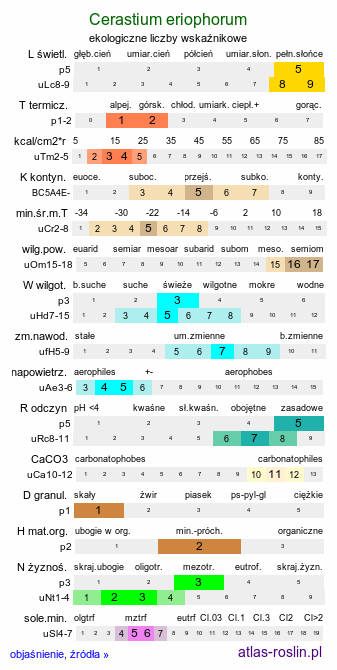 ekologiczne liczby wskaźnikowe Cerastium eriophorum (rogownica watowata)