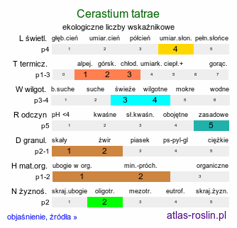 ekologiczne liczby wskaźnikowe Cerastium tatrae (rogownica Raciborskiego)