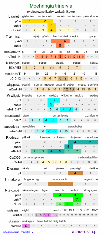 ekologiczne liczby wskaźnikowe Moehringia trinervia (możylinek trójnerwowy)