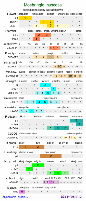 ekologiczne liczby wskaźnikowe Moehringia muscosa (możylinek mchowaty)