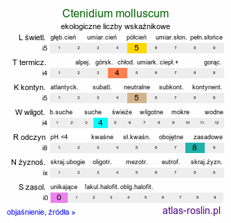 ekologiczne liczby wskaźnikowe Ctenidium molluscum (grzebieniowiec piórkowaty)