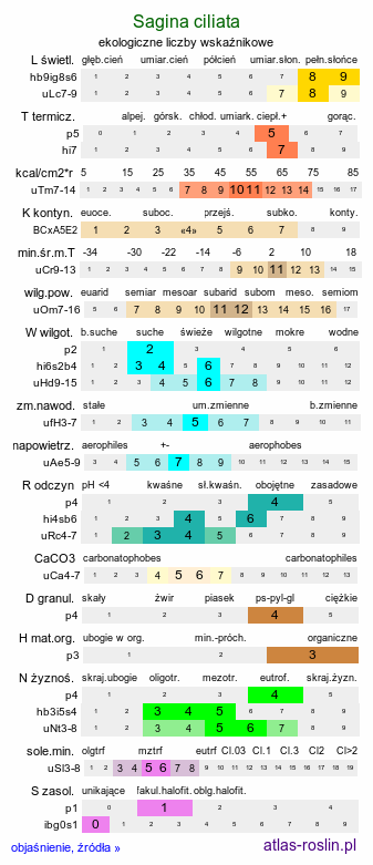 ekologiczne liczby wskaźnikowe Sagina ciliata (karmnik bezpłatkowy)