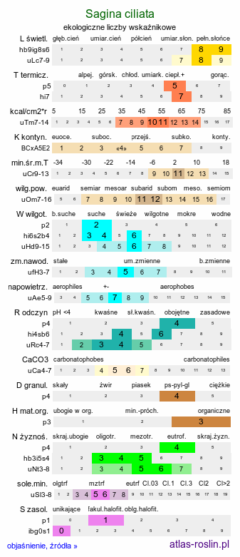 ekologiczne liczby wskaźnikowe Sagina ciliata (karmnik bezpłatkowy)