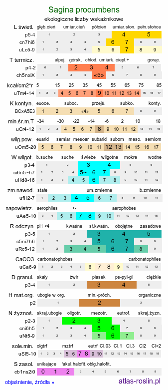 ekologiczne liczby wskaźnikowe Sagina procumbens (karmnik rozesłany)