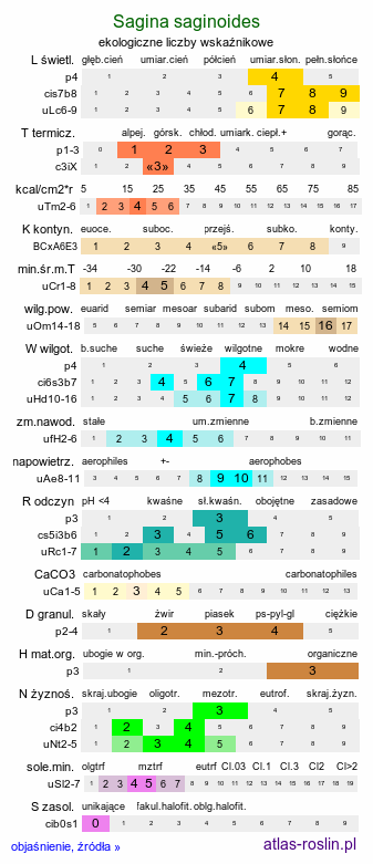 ekologiczne liczby wskaźnikowe Sagina saginoides (karmnik skalny)