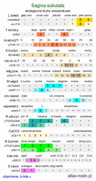ekologiczne liczby wskaźnikowe Sagina subulata (karmnik ościsty)