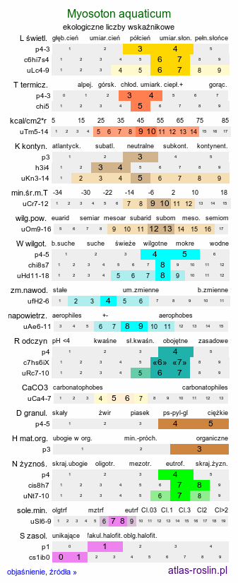 ekologiczne liczby wskaźnikowe Myosoton aquaticum (kościenica wodna)