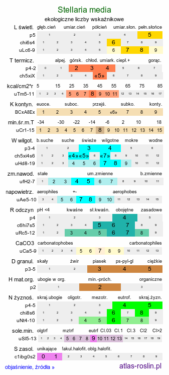 ekologiczne liczby wskaźnikowe Stellaria media (gwiazdnica pospolita)