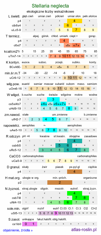 ekologiczne liczby wskaźnikowe Stellaria neglecta (gwiazdnica zaniedbana)