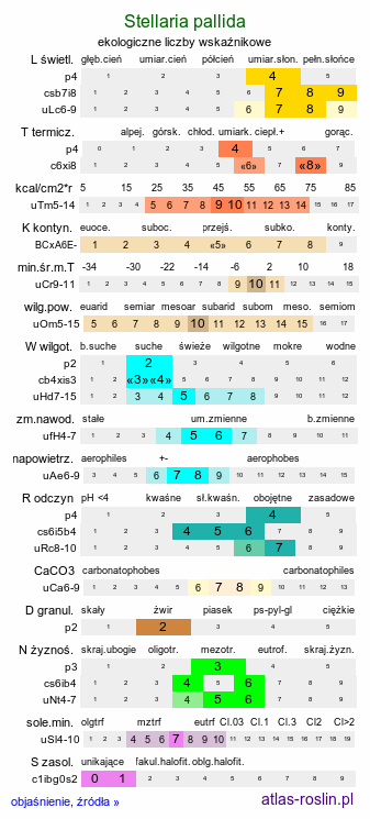 ekologiczne liczby wskaźnikowe Stellaria pallida (gwiazdnica blada)