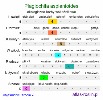 ekologiczne liczby wskaźnikowe Plagiochila asplenioides (skosatka zanokcicowa)