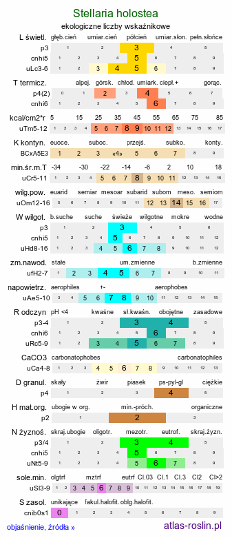 ekologiczne liczby wskaźnikowe Stellaria holostea (gwiazdnica wielkokwiatowa)
