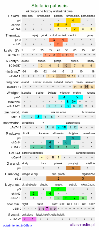 ekologiczne liczby wskaźnikowe Stellaria palustris (gwiazdnica błotna)