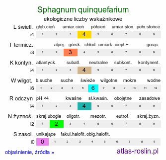 ekologiczne liczby wskaźnikowe Sphagnum quinquefarium (torfowiec pięciorzędowy)