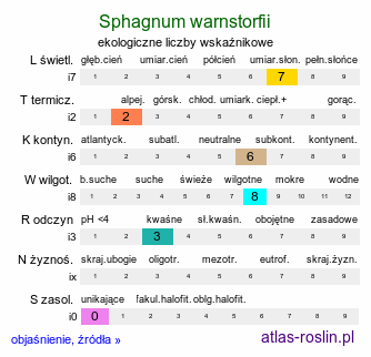 ekologiczne liczby wskaźnikowe Sphagnum warnstorfii (torfowiec Warnstorfa)